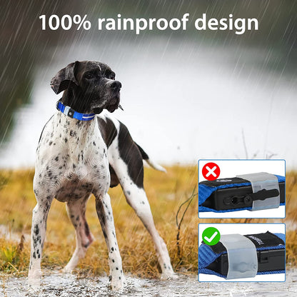 Rechargeable Water-Resistant LED Dog Collar for Nighttime Visibility