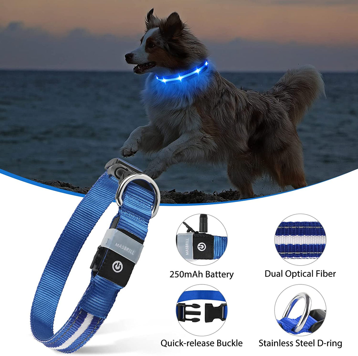 Rechargeable Water-Resistant LED Dog Collar for Nighttime Visibility