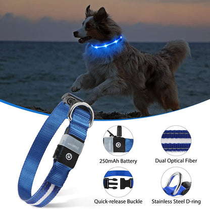 Rechargeable Water-Resistant LED Dog Collar for Nighttime Visibility
